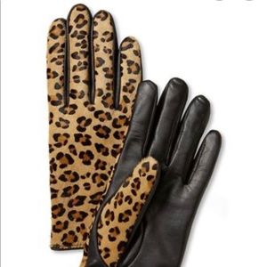 Leather Calf-Hair Gloves